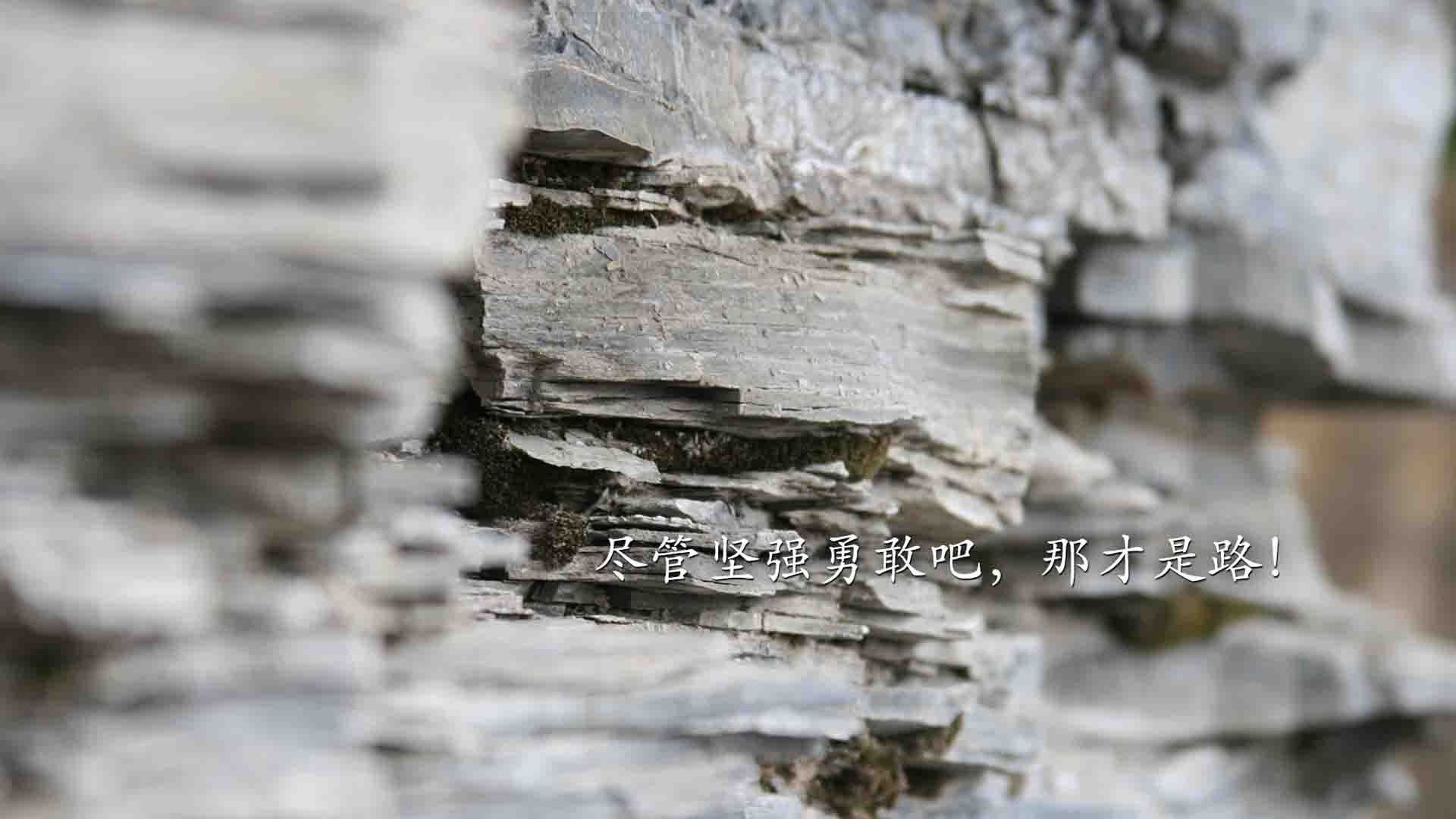 北京赛区举办CBA春季篮球公开赛，惠及百姓，2021北京篮球比赛