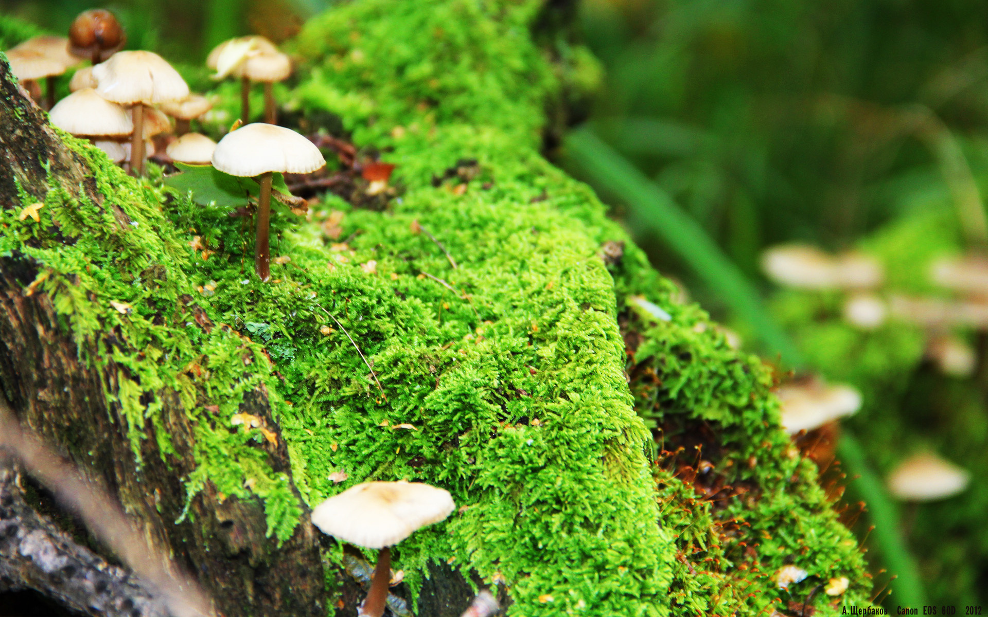 爱游戏电竞官网入口-“足球场馆智能化改造助力赛事精彩纷呈”，创意足球场馆